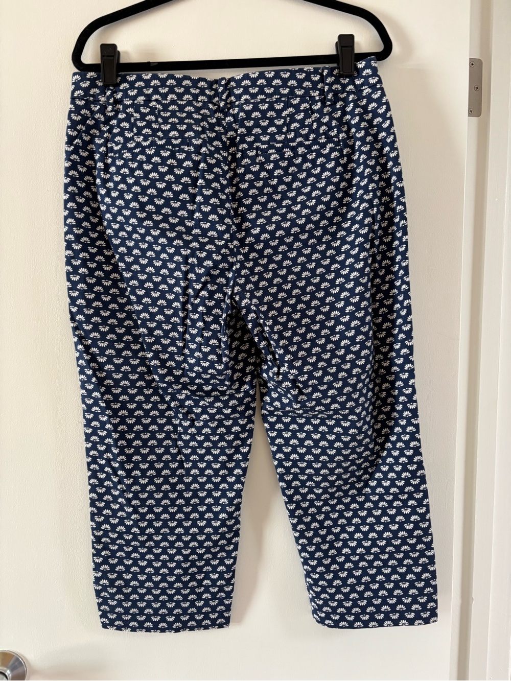 Talbots Perfect Skimmer - Picture 2 of 3